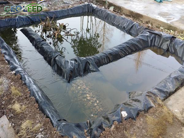 648826f5-9c5b-4b00-bdd0-64584c4f982d