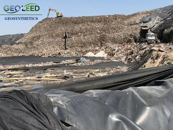 6ae599a6-84d8-412e-82ca-a8d8e13ab527