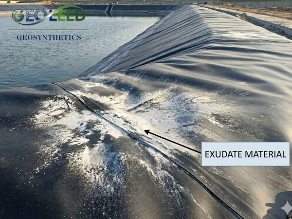 Geomembrane exudate