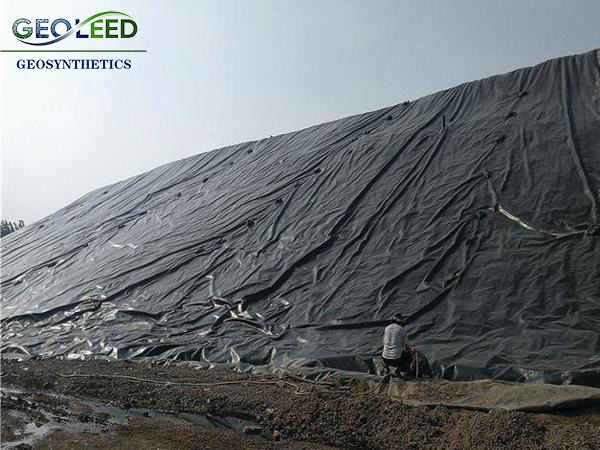 d5de18ef-25c0-4ad9-8df4-c01c77efbeb5